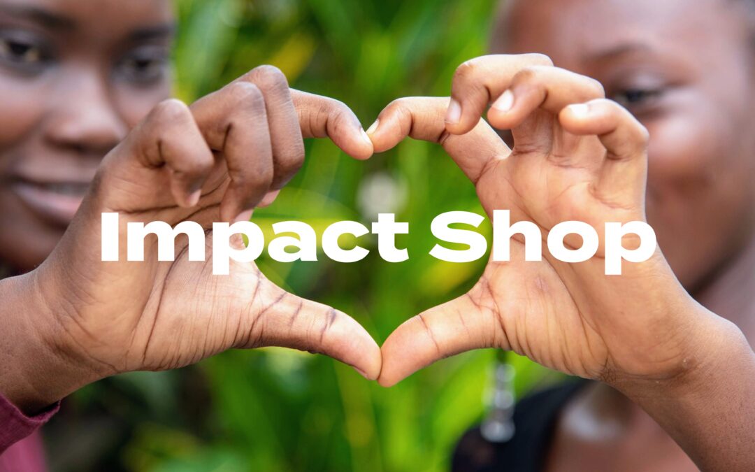 Net4kids lanceert Impact Shop: geen glitter wel shine deze kerst