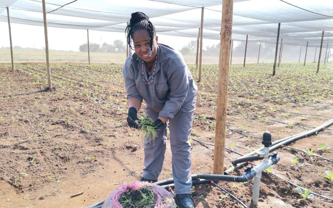 South Africa: Entrepreneurship for girls in the townships (Agripreneurship)